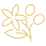 Coffee blossoms GOLD RGB 500px